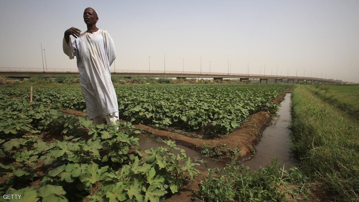حرب السودان.. عندما يصبح الصحفي سائقا والمهندس مزارعا