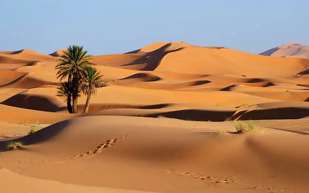 انتهاء تصوير مسلسل “سوق أتاي” تمهيدا لرمضان وأعمال جديدة تدخل البلاتوه