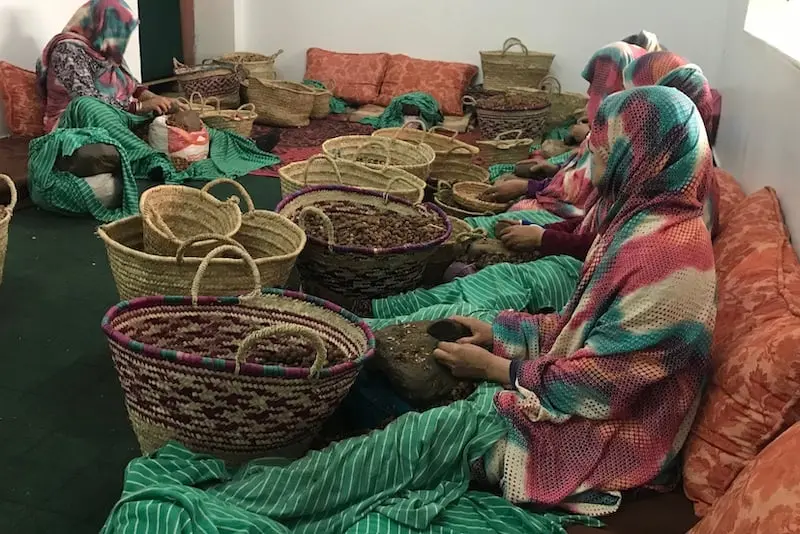 التعاونيات تعزز التمكين الاقتصادي لنساء تزنيت