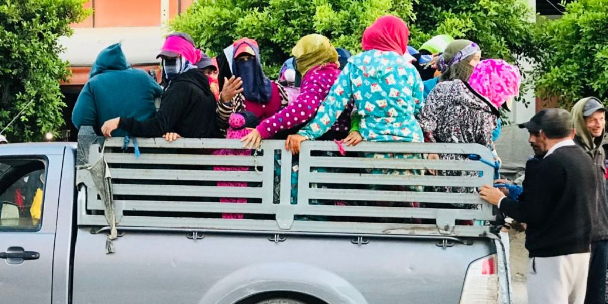 فواجع نقل العمال الزراعيين تحاصر قيوح ومطالب برلمانية بالحماية