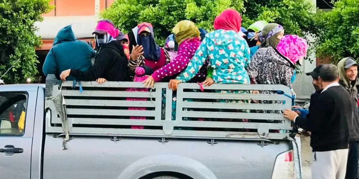 فواجع نقل العمال الزراعيين تحاصر قيوح ومطالب برلمانية بالحماية