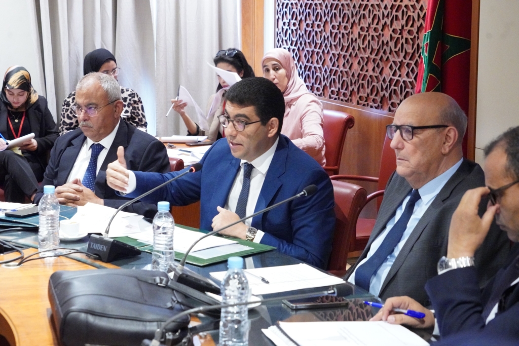 بنسعيد يكشف تفاصيل إعادة تنظيم المجلس الوطني للصحافة