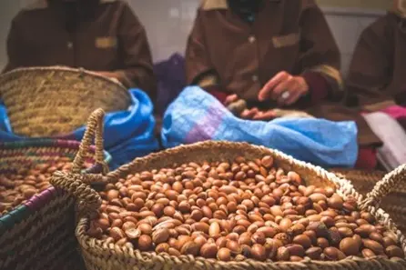 نسيج التعاونيات يتوسع ببلوغه 60 ألف وحدة والأولوية لمشاريع النساء