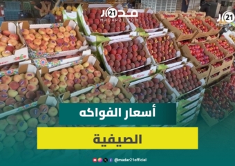 الفواكه الصيفية.. وفرة في العرض وأسعار مرتفعة نسبياً مع توقعات بانخفاضها عما قريب