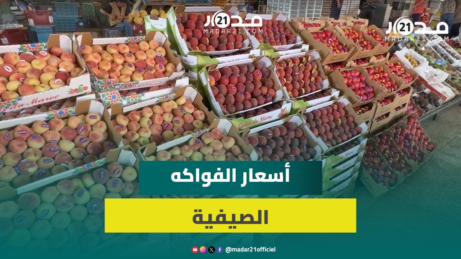 الفواكه الصيفية.. وفرة في العرض وأسعار مرتفعة نسبياً مع توقعات بانخفاضها عما قريب