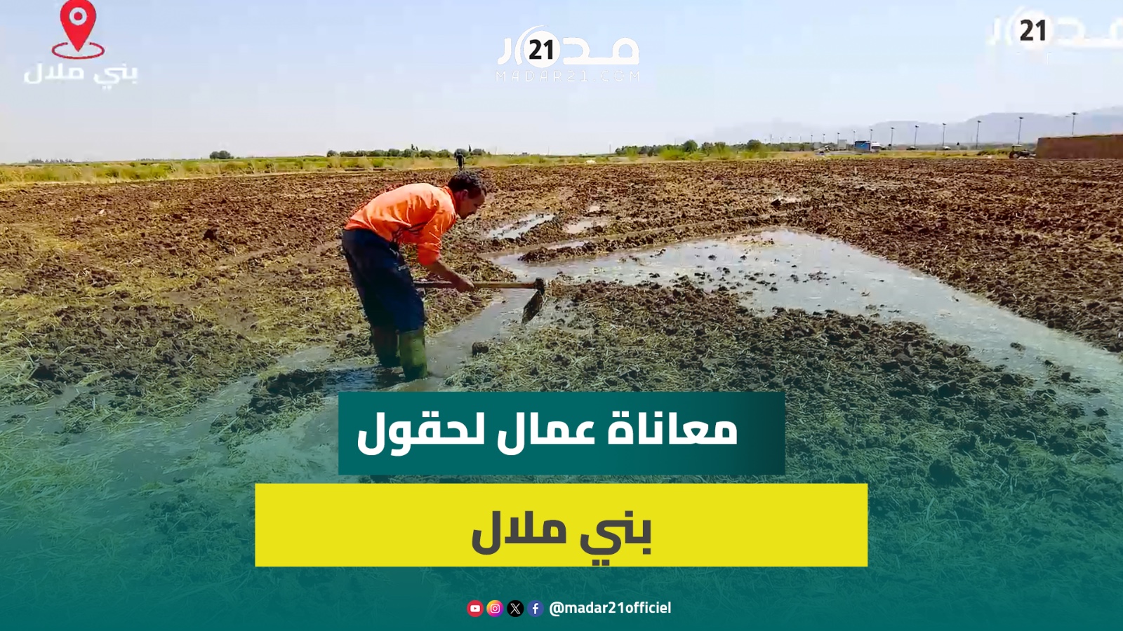 “نشتغل ساعات طويلة تحت أشعة الشمس”.. عمال فلاحيون يسردون معاناة العمل اليومي