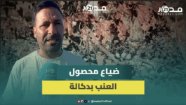 الجفاف يقضي على عنب دكالة ويلحق خسائر بملايين الدراهم بقرابة 1000 فلاح