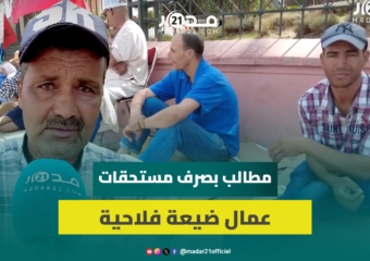أكثر من 23 شهرا بدون أجر.. عمال ضيعة فلاحية يحتجون أمام ولاية جهة بني ملال لصرف مستحقاتهم