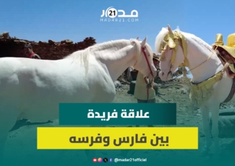 ارتباط وثيق بين فارس وفرسه: “نبقى معاه تانموت وعطاوني فيه 95 مليون”