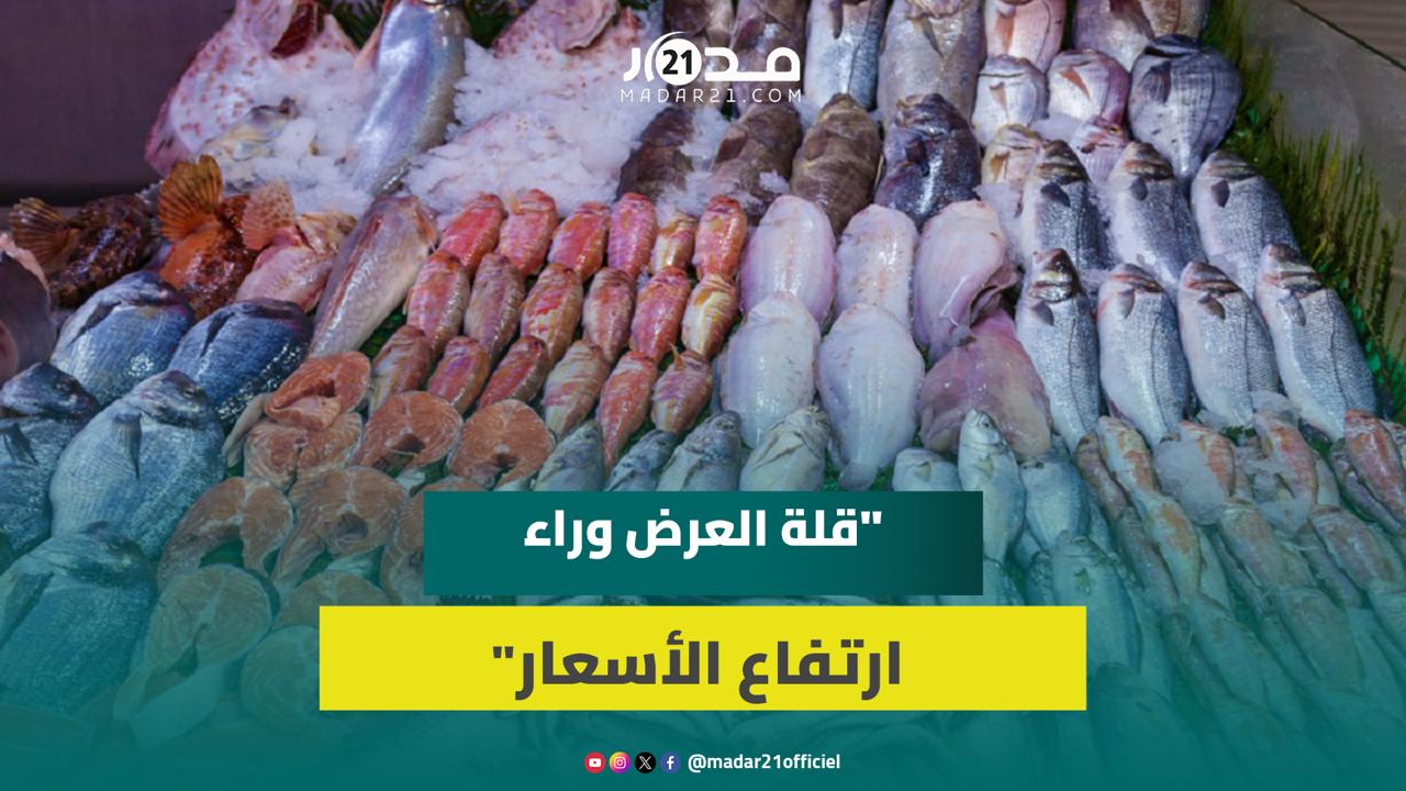 سردين آسفي بـ13 درهم.. بائع سمك: قلة العرض وراء ارتفاع الأسعار ونحن أول المتضررين