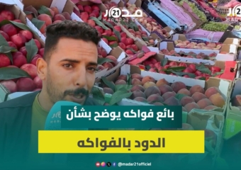 بائعو الفواكه: وفرة بالأسواق ونترقب انخفاض الأسعار وإشاعة الدود صحيحة