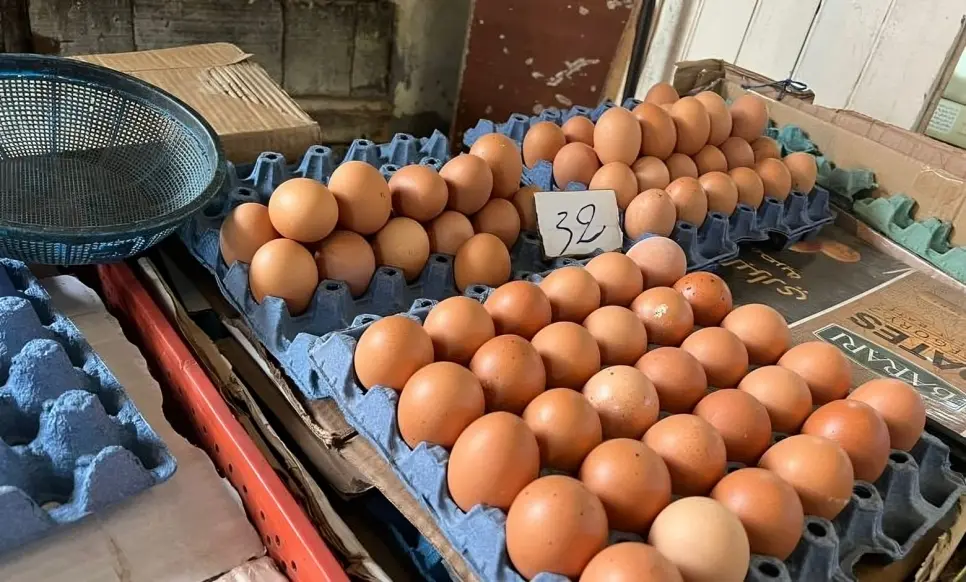 مطالب بتدخل مجلس المنافسة في غلاء البيض وكبح احتكار كبار التجار