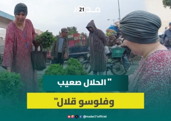 “الحلال صعيب وفلوسو قلال”.. امرأة تقتحم عالم التجارة بسوق شعبي في الدشيرة لإعالة أسرتها