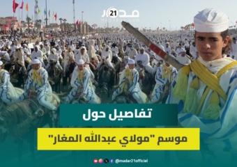 أزيد من 130 سربة مشاركة.. رئيس جماعة “مولاي عبدالله المغار” يقدم إحصائيات مفصلة
