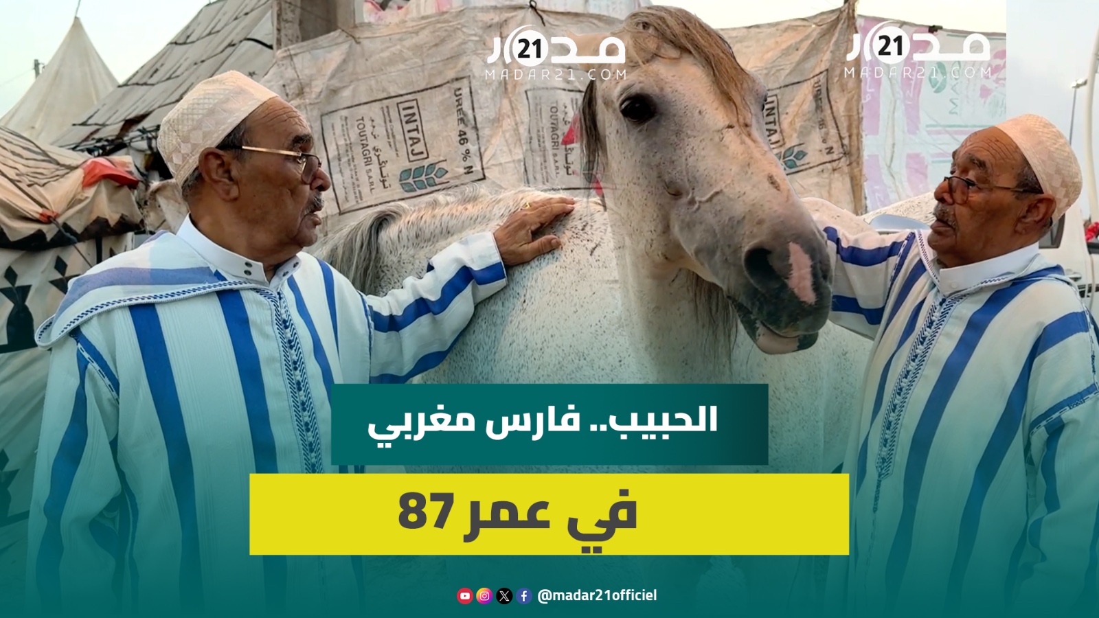 رفيقة العمر وذاكرة القلب.. حكاية شيخ مغربي يعانق الخيل في عامه السابع والثمانين