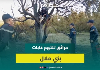 حرائق ببني ملال تلتهم 3 هكتارات من الغطاء الغابوي وجهود الوقاية المدنية مستمرة لاحتوائها