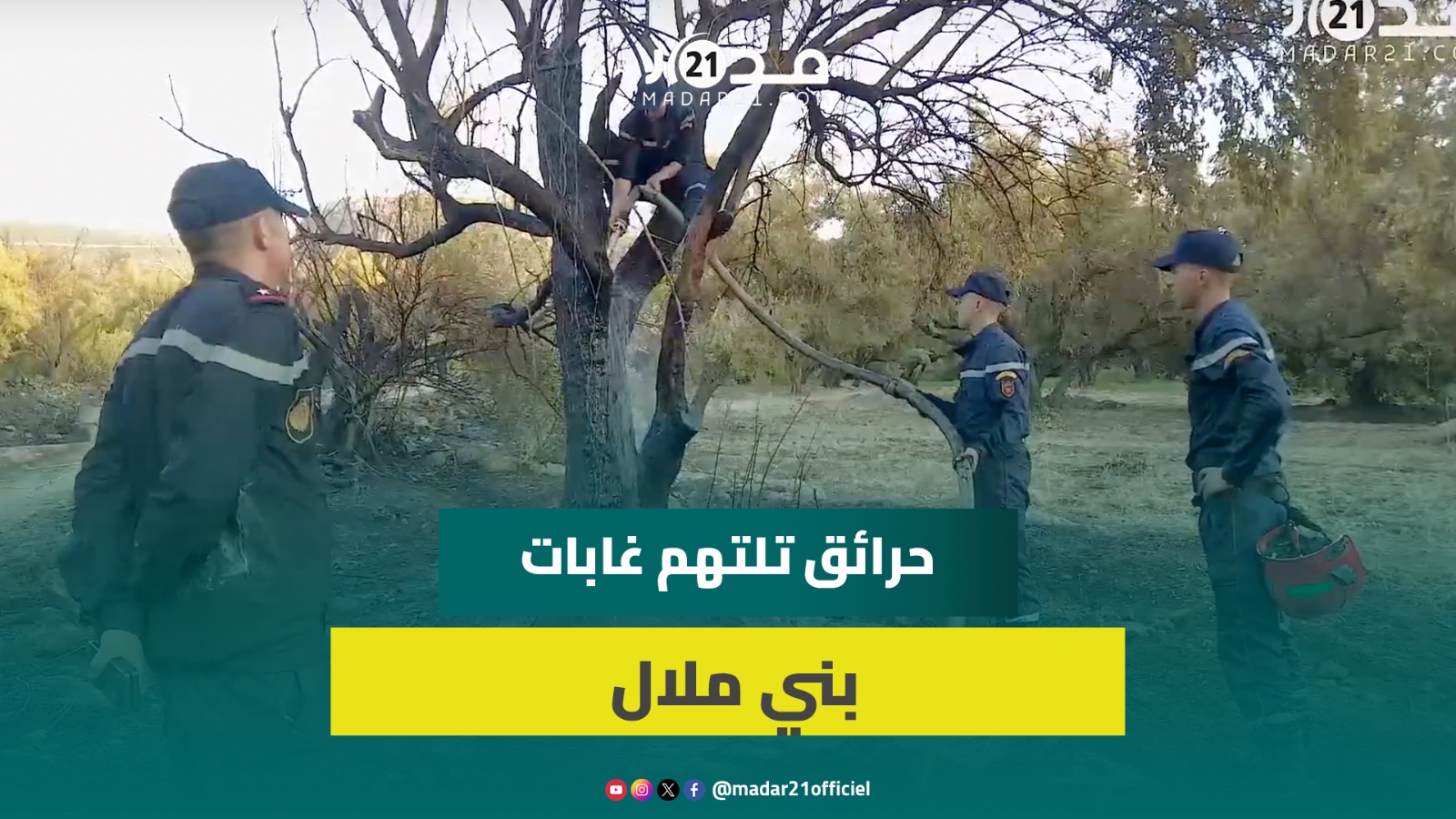 حرائق ببني ملال تلتهم 3 هكتارات من الغطاء الغابوي وجهود الوقاية المدنية مستمرة لاحتوائها