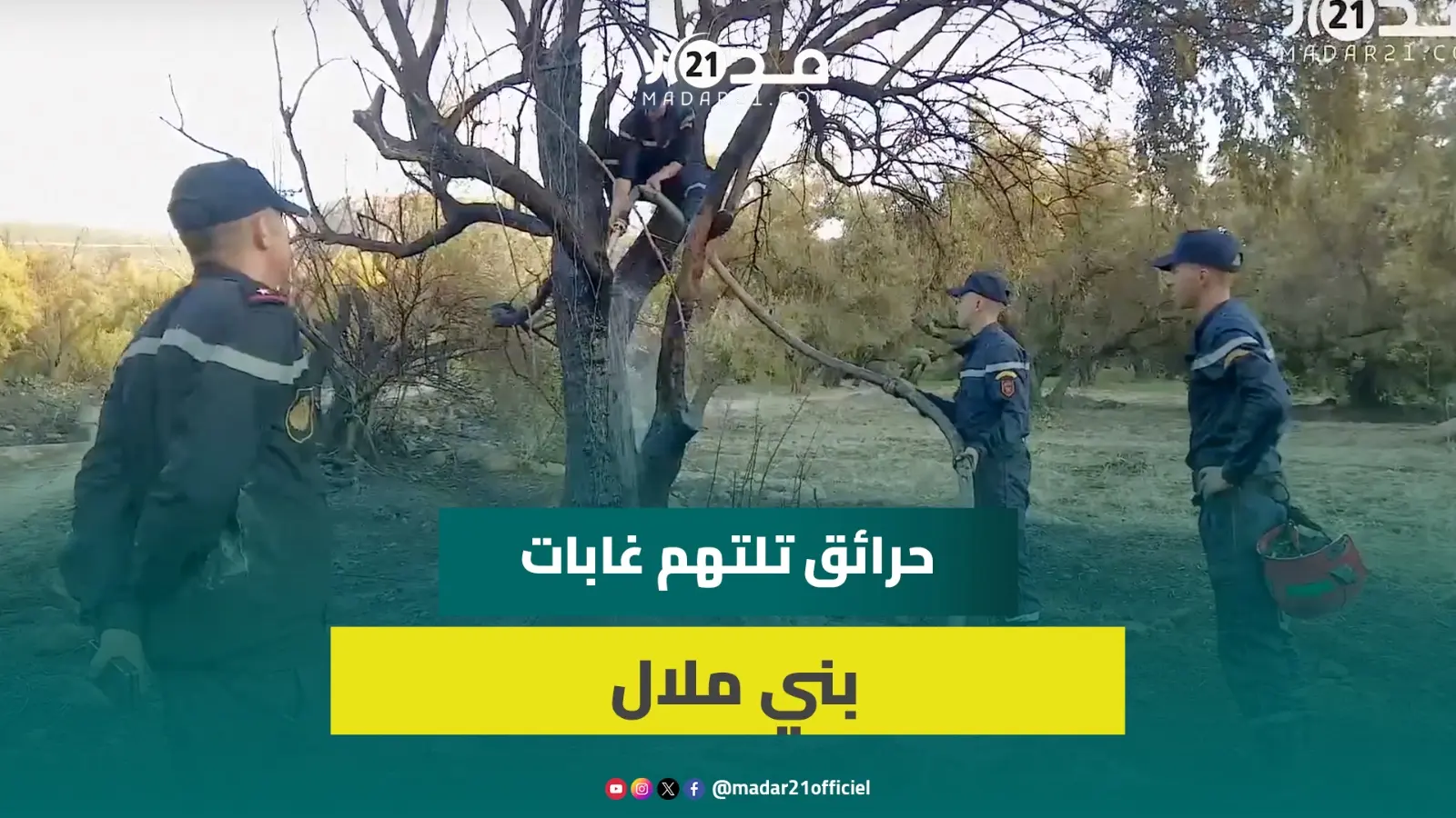 حرائق ببني ملال تلتهم 3 هكتارات من الغطاء الغابوي وجهود الوقاية المدنية مستمرة لاحتوائها