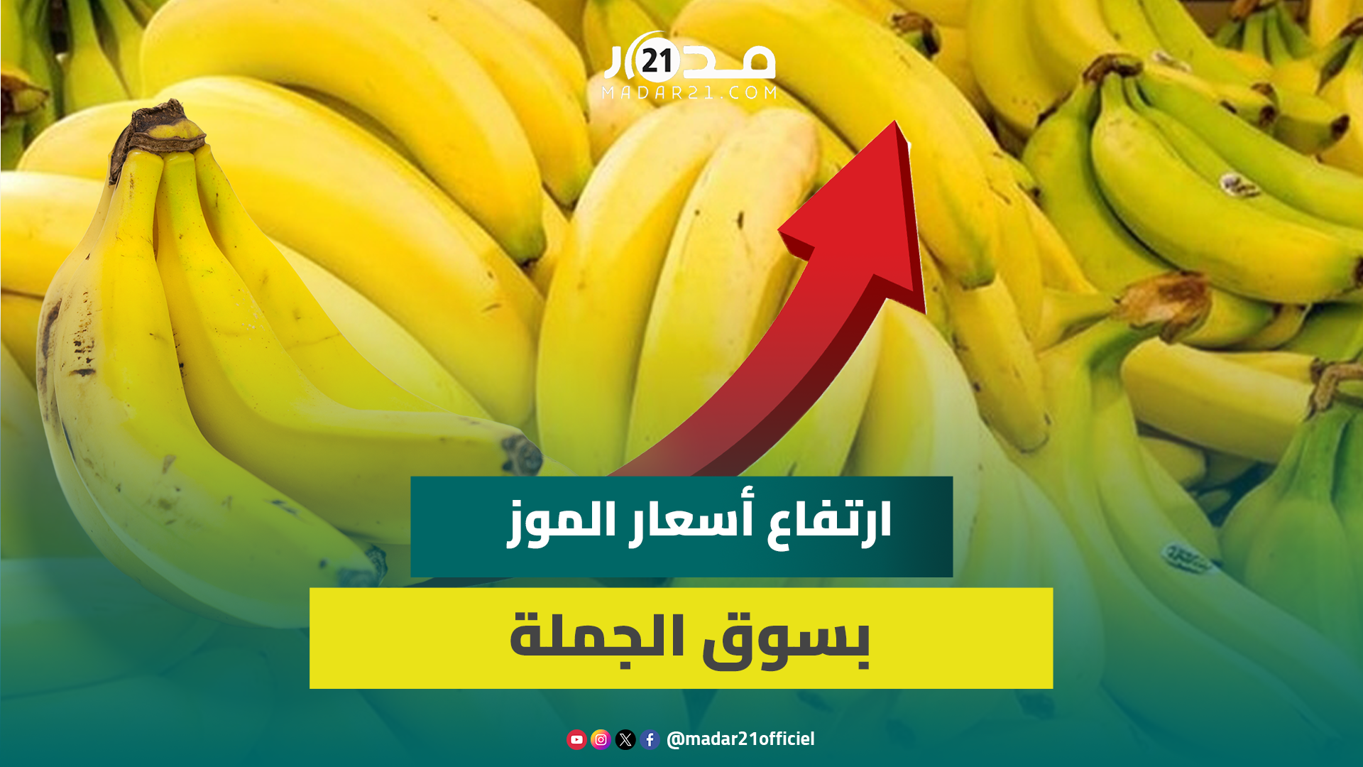 امتعاض بسوق الجملة بإنزكان من ارتفاع أسعار الموز.. “يصل إلى المستهلكين بأثمنة في غير المتناول”