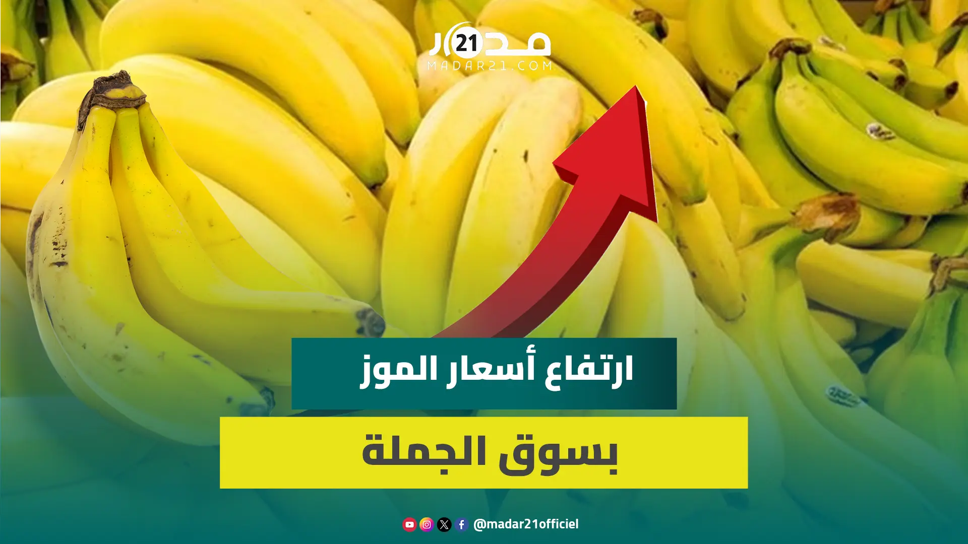 امتعاض بسوق الجملة بإنزكان من ارتفاع أسعار الموز.. “يصل إلى المستهلكين بأثمنة في غير المتناول”