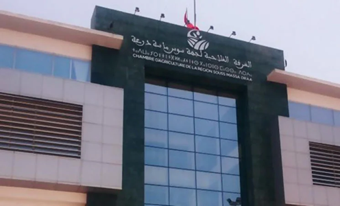 غرفة الفلاحة بسوس تناقش دعم مربي الماشية
