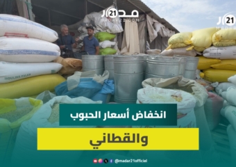 تحسن مستوى محاصيل الحبوب والقطاني يخفض أسعار الجملة بالأسواق الوطنية