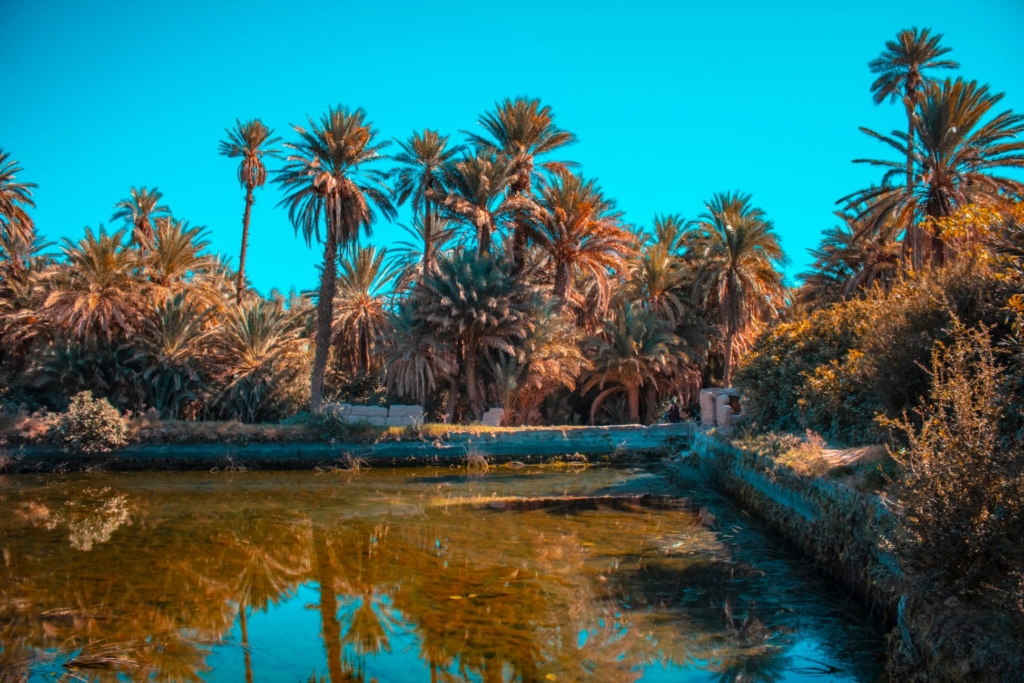 مسابح وواحات طاطا تتحول إلى ملاذ للساكنة والزوار في عز موجة الحر