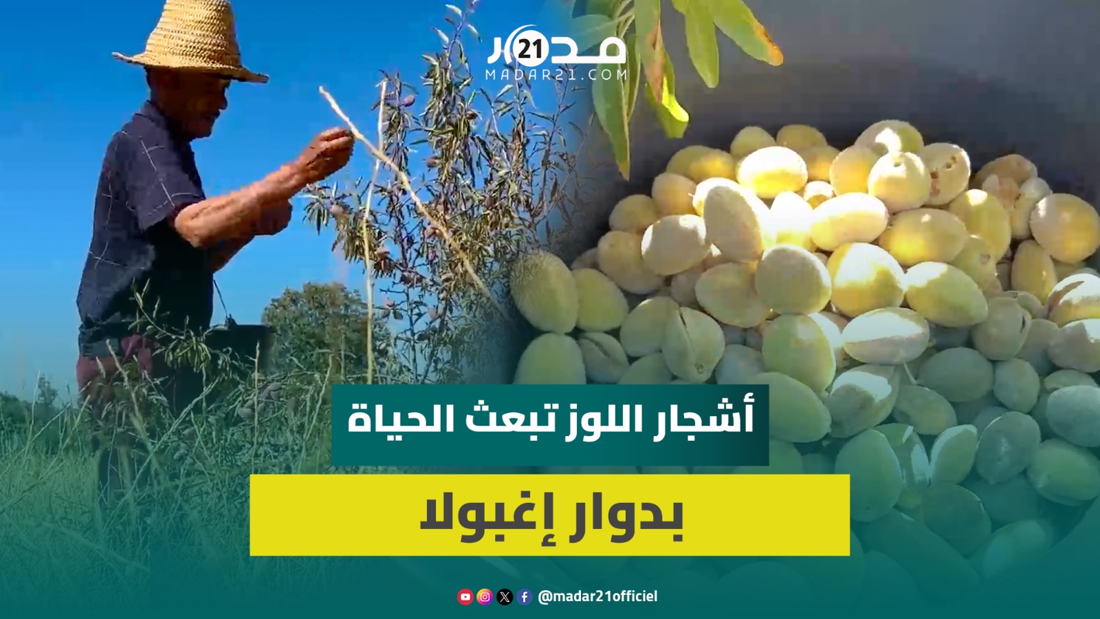 مبادرة تعاونية بأزيلال تعيد الحياة لأرض قاحلة وتزع 82 ألف شجرة في 7 سنوات