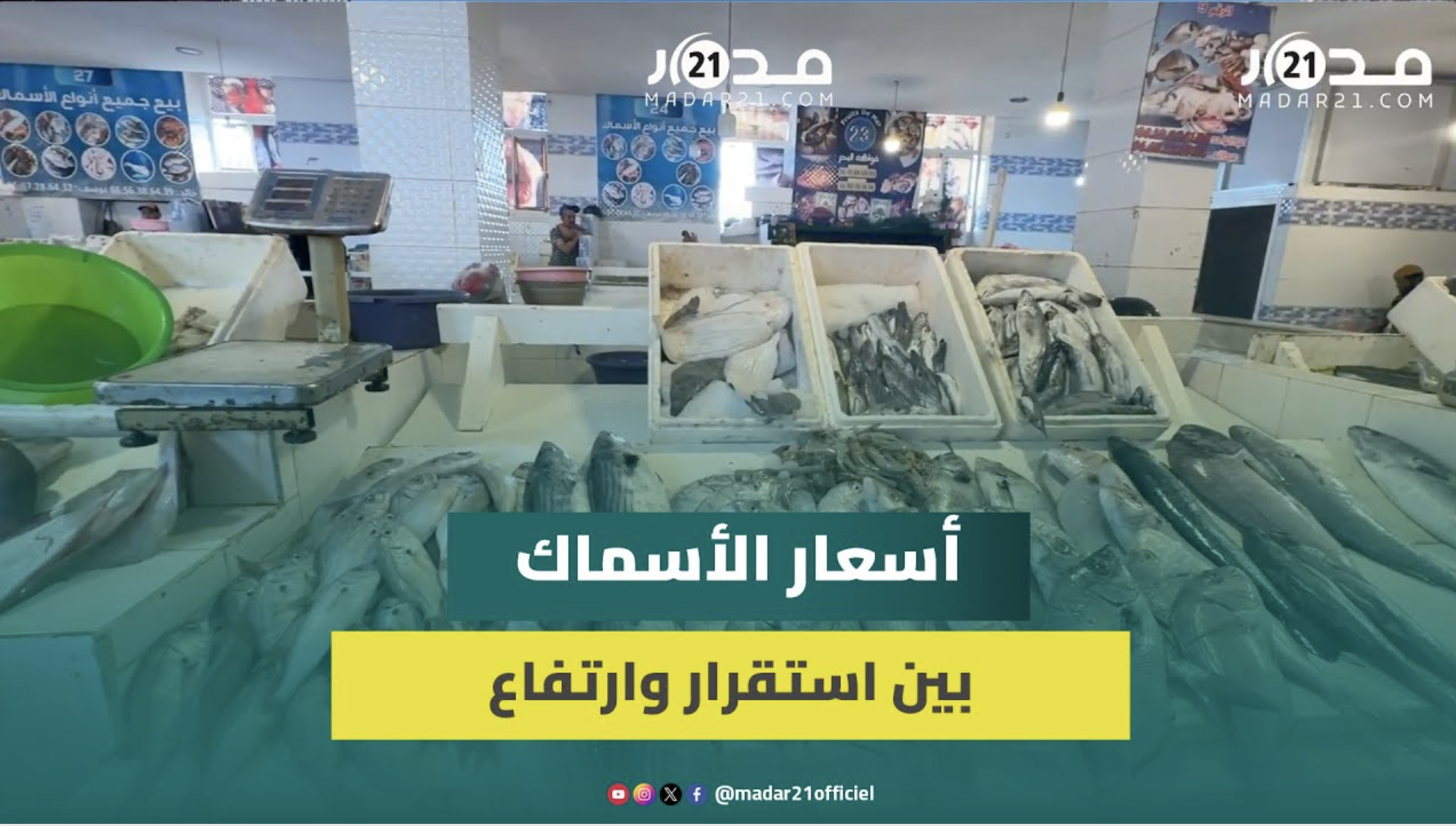 20 درهماً للكيلوغرام.. تواصل غلاء السردين وندرة في العرض من الأسماك
