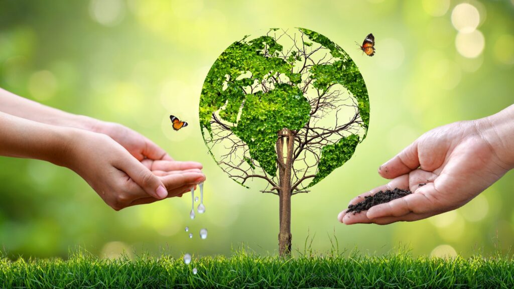 دعوات إلى تجديد الالتزام بحماية البيئة