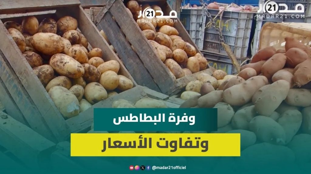 تجار سوق الجملة: وفرة في البطاطس والأسعار تتفاوت حسب الفصل والمصدر