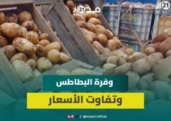 تجار سوق الجملة: وفرة في البطاطس والأسعار تتفاوت حسب الفصل والمصدر