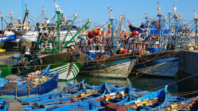 انخفاض مفرغات الصيد بـ21% بميناء الداخلة