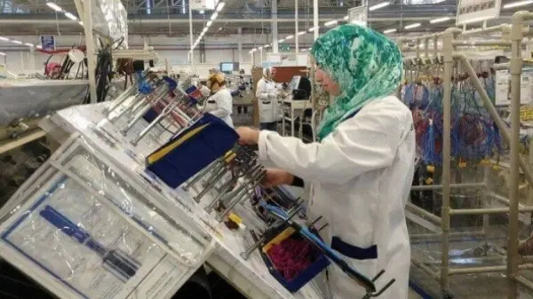 إحداث 407 مقاولات بجهة كلميم