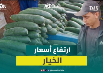 ارتفاع أسعار الخيار بأنزكان يصل إلى مستويات خيالية قبل أن تستقر وتجار يكشفون الجملة الأسباب