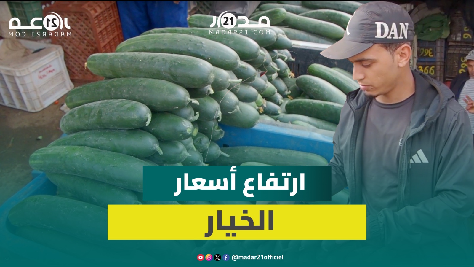 ارتفاع أسعار الخيار بأنزكان يصل إلى مستويات خيالية قبل أن تستقر وتجار يكشفون الجملة الأسباب