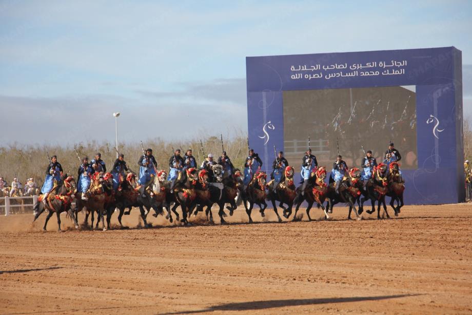 الرقمنة تدخل عالم الفروسية وحلول مبتكرة لقطاع الخيول بالمغرب