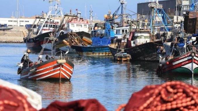 ارتفاع مفرغات الصيد بـ64% بميناء طانطان