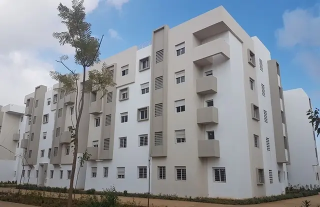 دعم سكن.. الحكومة توافق على 71 ألف طلب.. والمنصوري: 54% منها للشباب