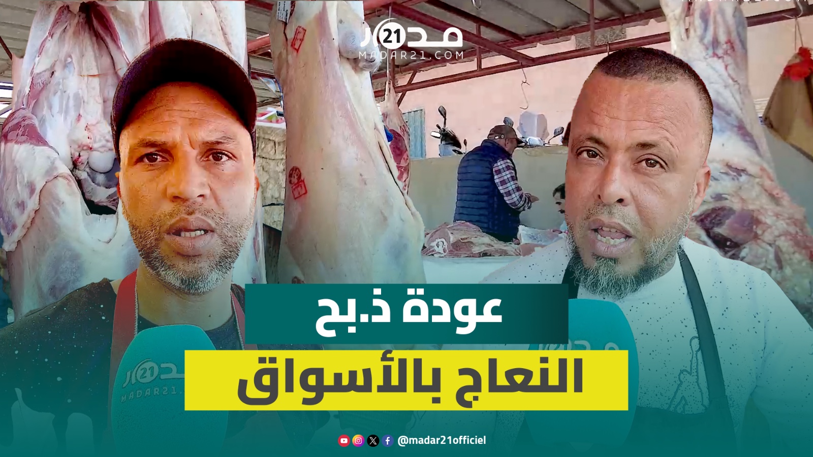 رفع الحظر عن ذ.بح النعاج.. مهنيون: ثمنها مازال مرتفعا وعودتها للسوق لم تؤثر على غلاء اللحوم