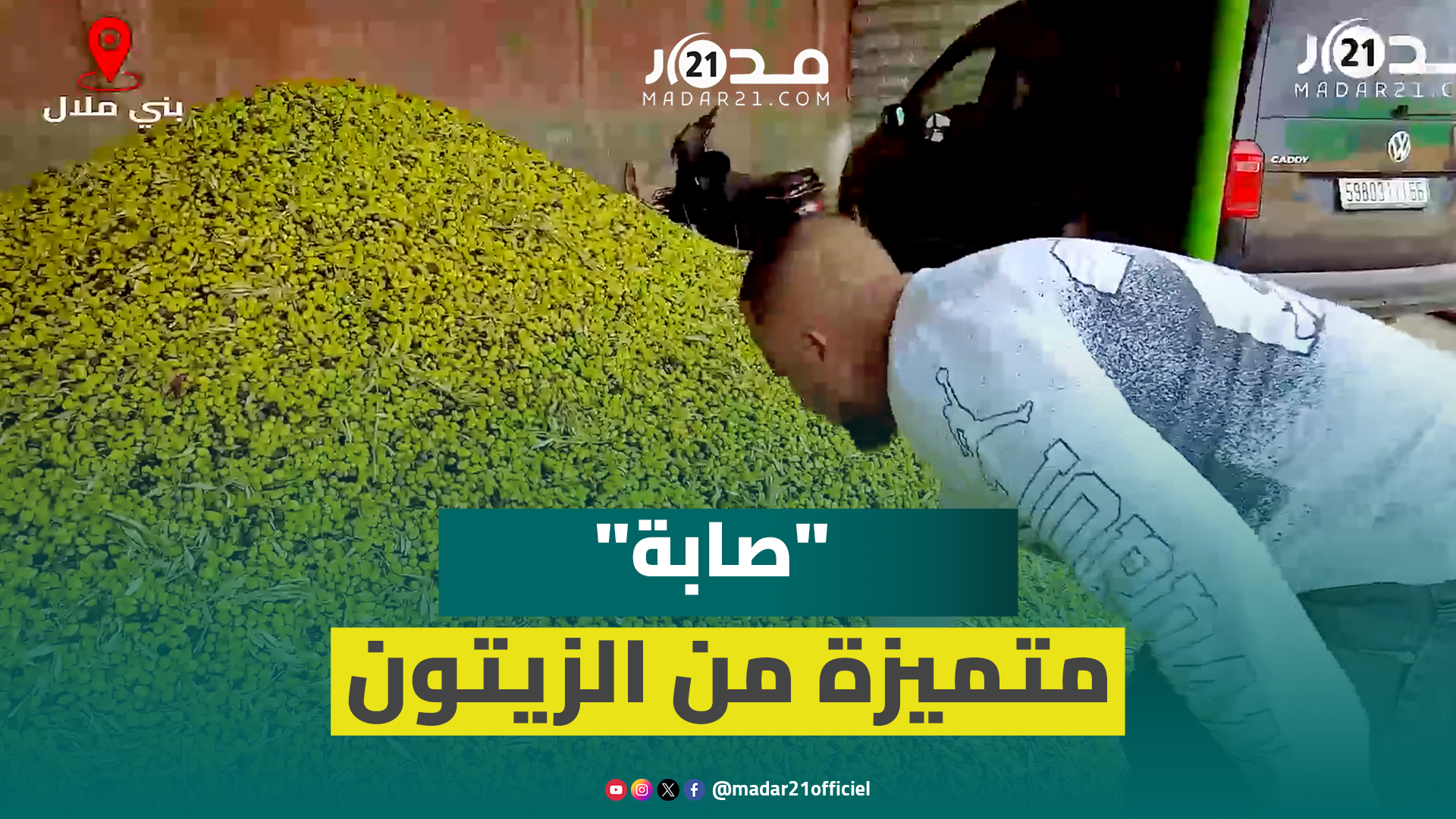 “صابة” استثنائية للزيتون بمنطقة بني ملال وصاحب معصرة: إنتاج غير مسبوق خلال العقود الأخيرة