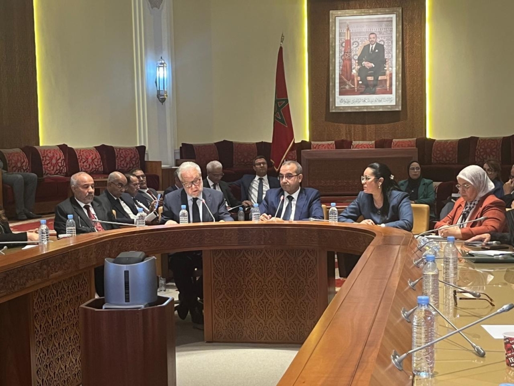 حجوي: القوانين ليست غاية في ذاتها وينبغي تفادي التضخم التشريعي