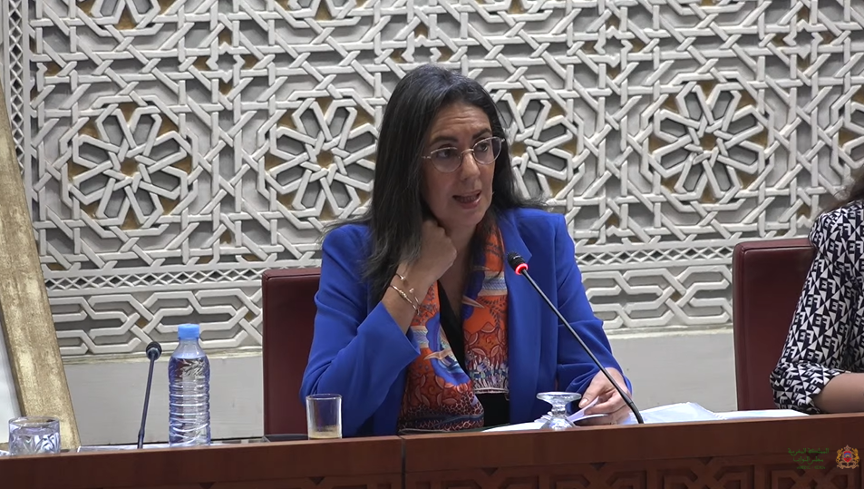 وزيرة الاقتصاد ترفض انتقادات تدبير الصفقات وتؤكد نجاح نظام الاستهداف و”المؤشر”