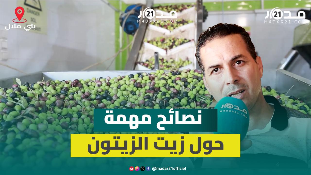 مهني: إنتاج الزيتون غير مسبوق منذ عشر سنوات ويجب التريث في الجني وهذه الأنواع الأكثر مردودية