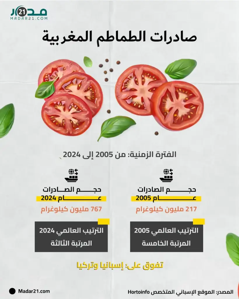 صادرات الطماطم المغربية