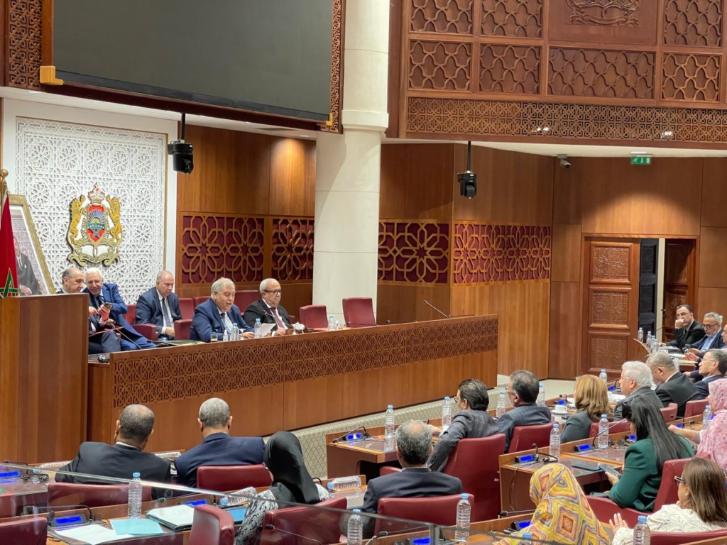 لفتيت: معاقبة المشككين بصدقية ونزاهة الانتخابات لا تستهدف حرية التعبير