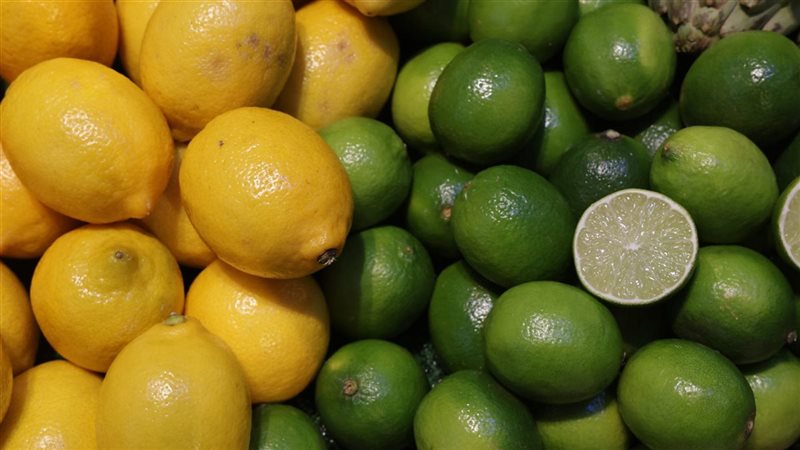 الليمون المغربي يسجل أفضل أداء منذ 17 عاما في السوق البريطانية