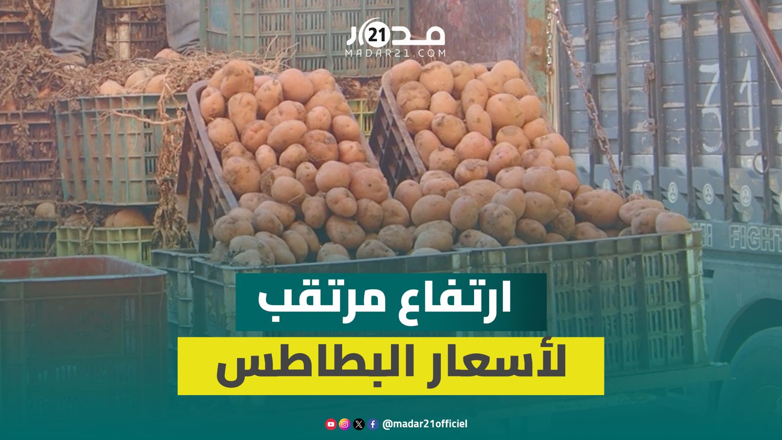 ارتفاع مرتقب لأسعار البطاطس في الأيام المقبلة.. تجار سوق الجملة يكشفون الأسباب الحقيقية