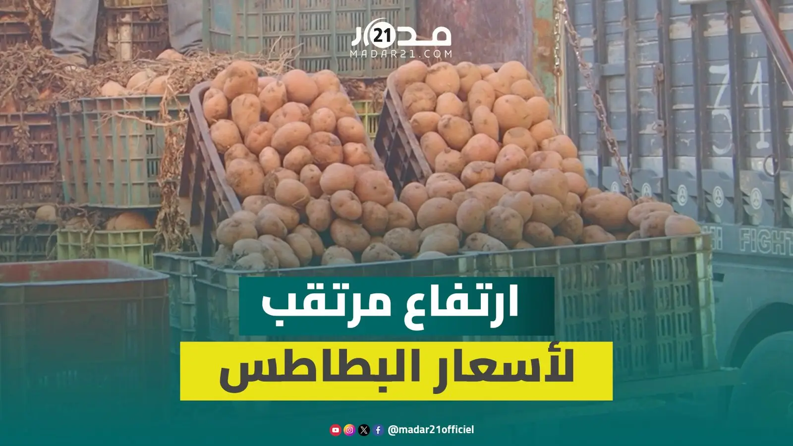 ارتفاع مرتقب لأسعار البطاطس في الأيام المقبلة.. تجار سوق الجملة يكشفون الأسباب الحقيقية