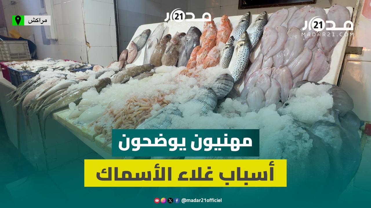 ارتفاع أثمان السمك.. مهنيون يوضحون الأسباب ويربطونها بتقلبات الطقس ويفضخون ممارسات الغش